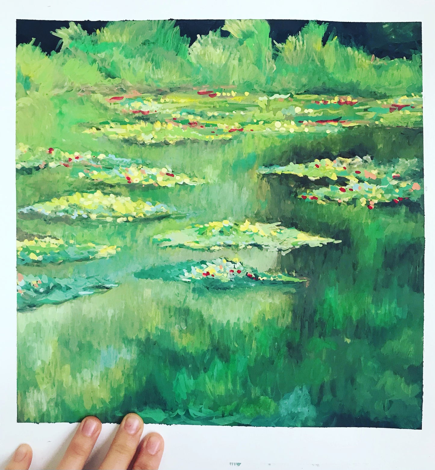 Waterlily Pond